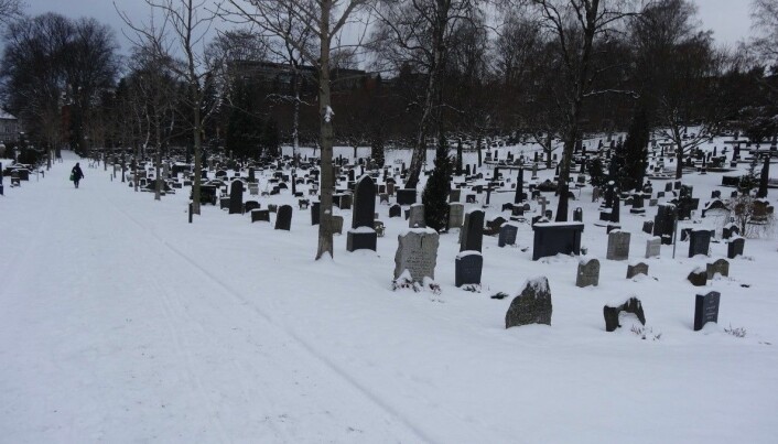 Vår Frelsers gravlund i Oslo hvor forvaltningen har gjennomført et prosjekt med sikring av gamle gravminner.