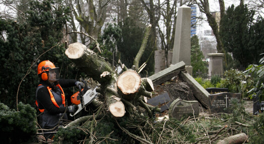 Stormen førte til mange skader på gravlundene i Stavanger