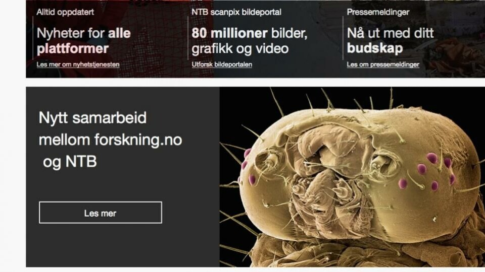 Skjermdump fra ntb.no med bekjentgjøring av samarbeidet med forskning.no