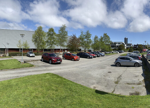 <span class="italic" data-lab-italic_desktop="italic"><span class="font-weight-bold" data-lab-font_weight_desktop="font-weight-bold">Asfalt i urbane strøk er med å fortrenge biologisk mangfold.</span></span> <span class="italic" data-lab-italic_desktop="italic"><span class="font-weight-bold" data-lab-font_weight_desktop="font-weight-bold">Asfalt i urbane strøk er med å fortrenge biologisk mangfold.</span></span>